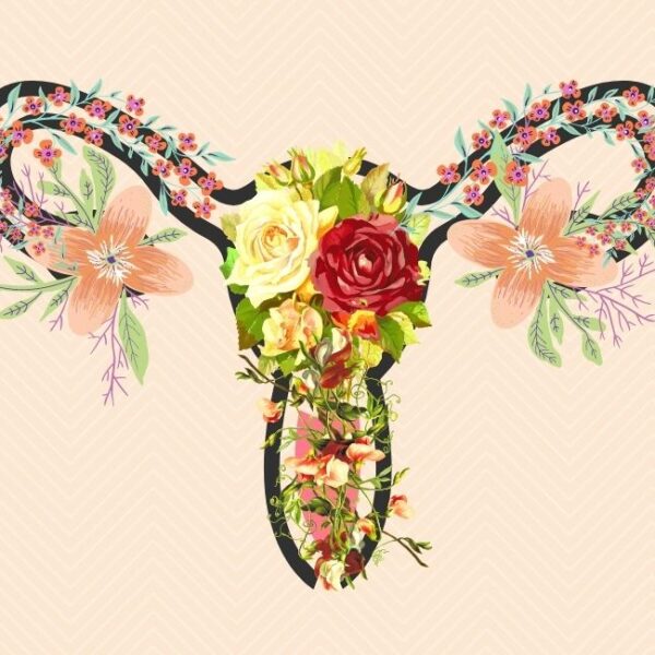 O ciclo mestrual no ayurveda