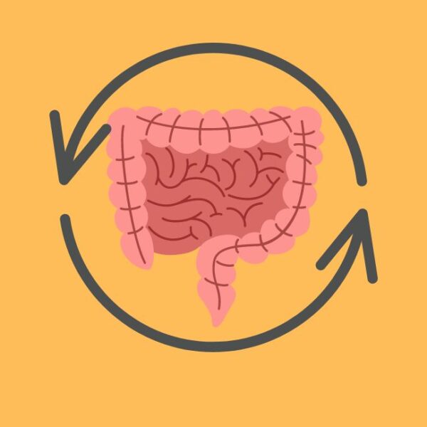 Digestão e sua imunidade na visão do Ayurveda