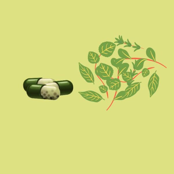 Benefícios do Ashwagandha para sua saúde